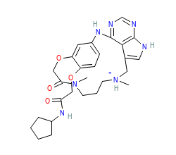 2D structure of the orthosteric ligand