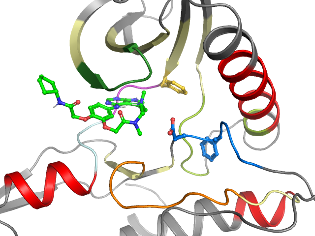 The orthosteric binding pocket