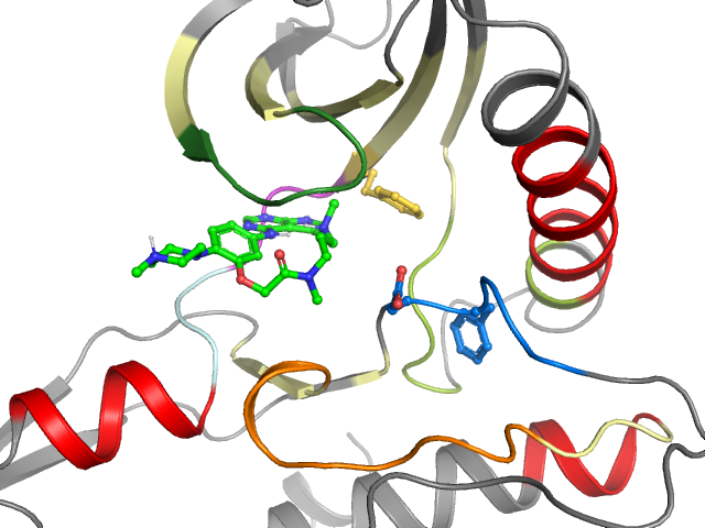 The orthosteric binding pocket