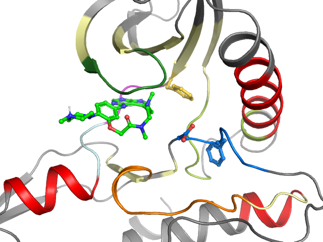 The orthosteric binding pocket