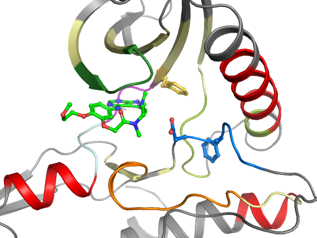 The orthosteric binding pocket