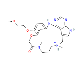 2D structure of the orthosteric ligand