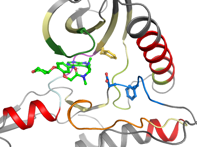 The orthosteric binding pocket
