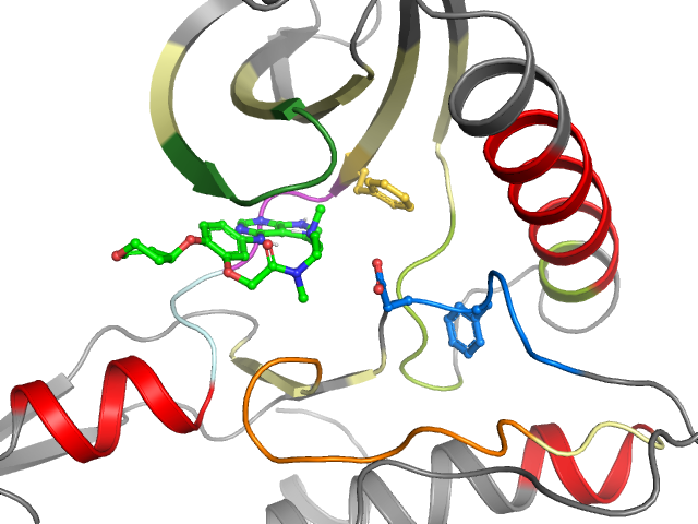 The orthosteric binding pocket