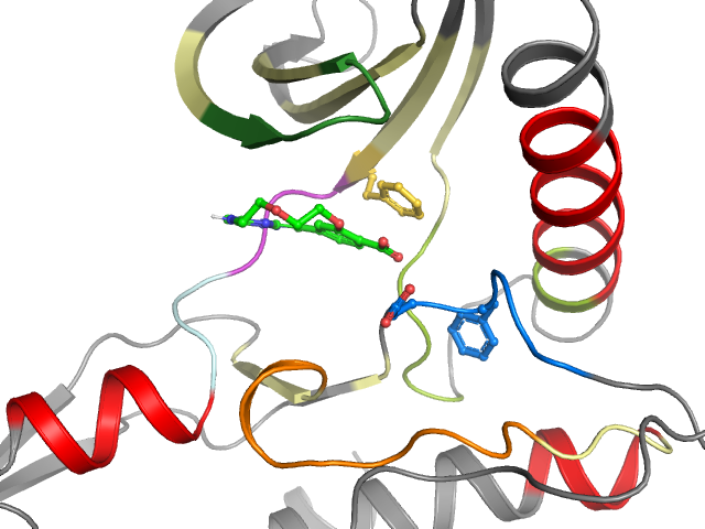 The orthosteric binding pocket
