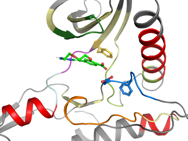 The orthosteric binding pocket