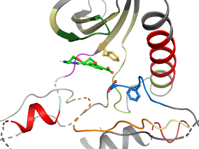 The orthosteric binding pocket
