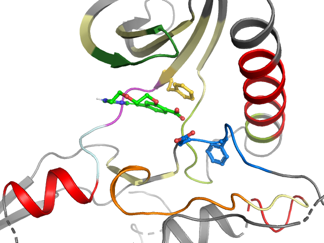 The orthosteric binding pocket