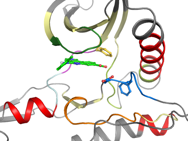 The orthosteric binding pocket