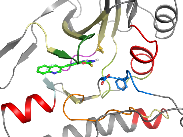 The orthosteric binding pocket