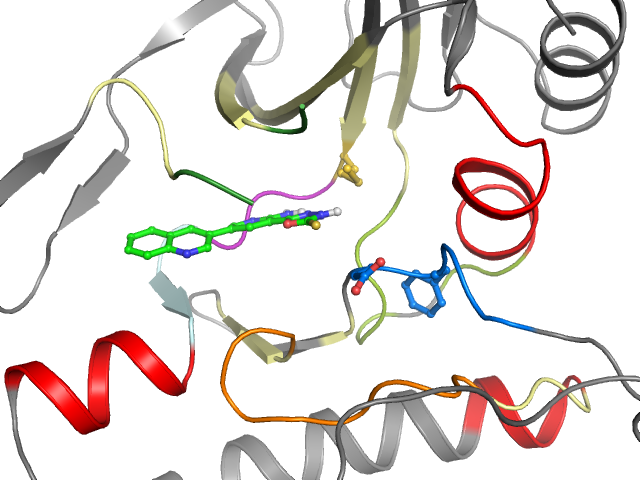 The orthosteric binding pocket