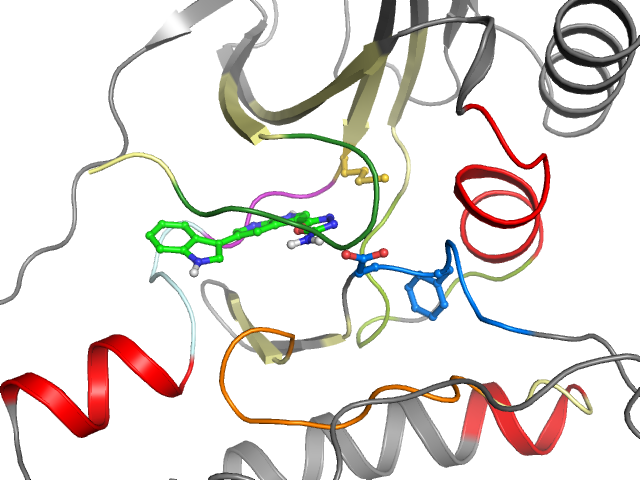 The orthosteric binding pocket