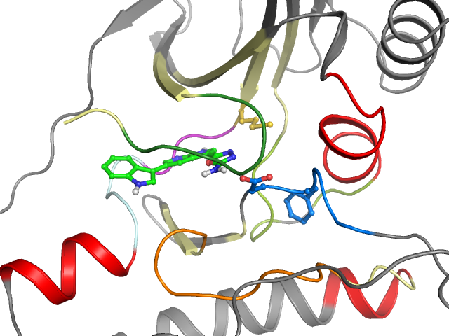 The orthosteric binding pocket