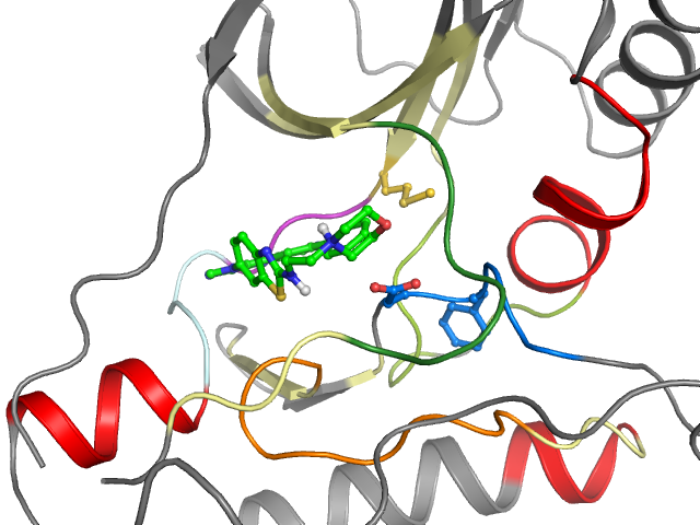 The orthosteric binding pocket