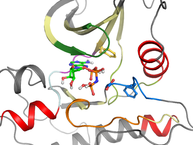 The orthosteric binding pocket
