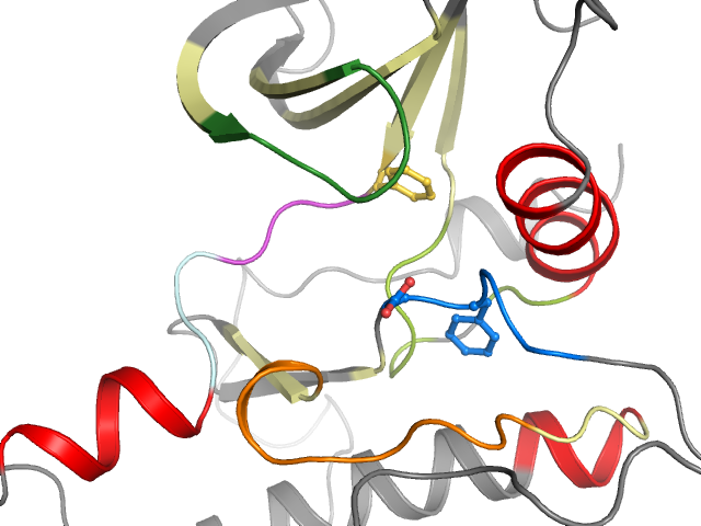 The orthosteric binding pocket
