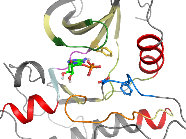 The orthosteric binding pocket