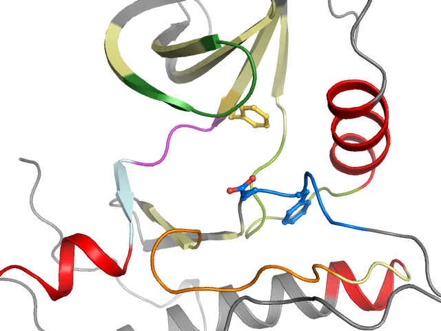 The orthosteric binding pocket