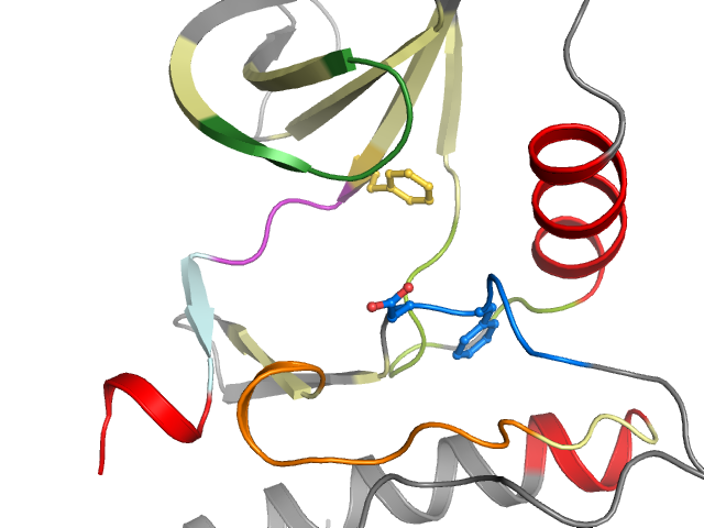 The orthosteric binding pocket
