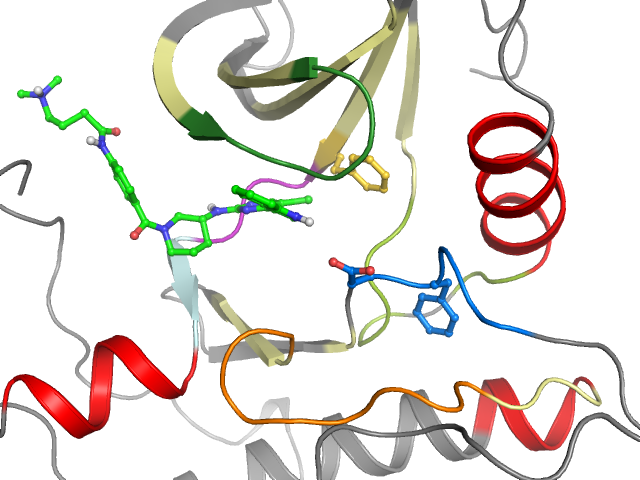 The orthosteric binding pocket