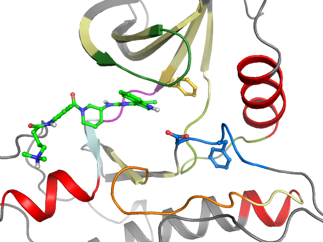The orthosteric binding pocket