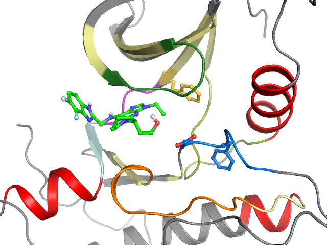 The orthosteric binding pocket