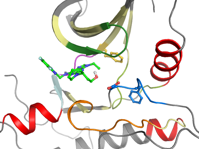 The orthosteric binding pocket