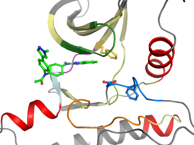 The orthosteric binding pocket