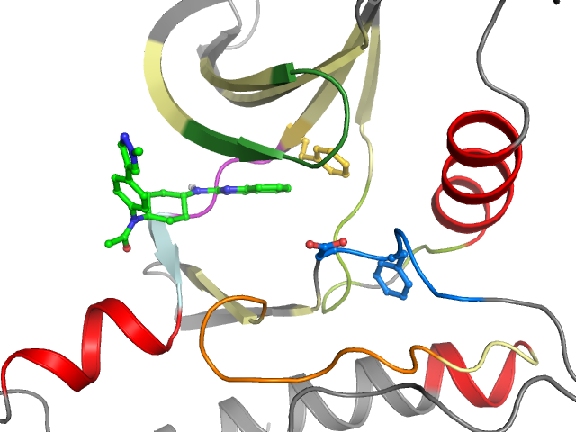 The orthosteric binding pocket