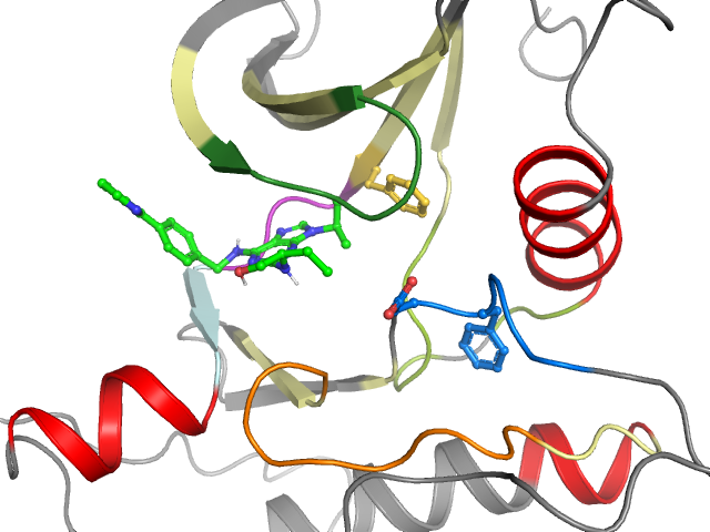 The orthosteric binding pocket