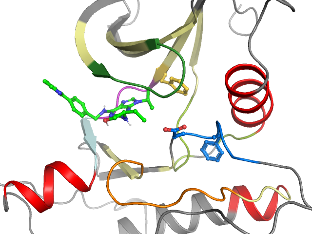 The orthosteric binding pocket