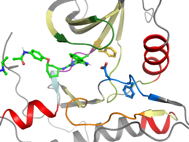 The orthosteric binding pocket