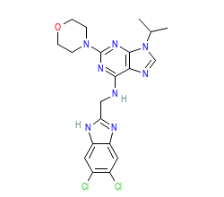 2D structure of the orthosteric ligand