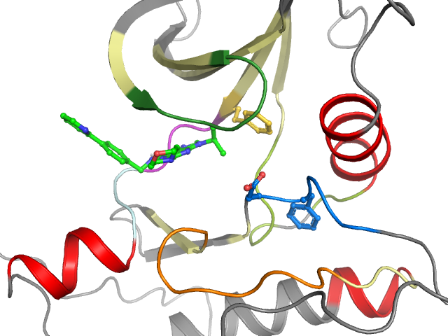 The orthosteric binding pocket