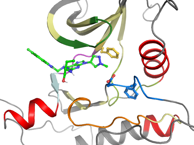 The orthosteric binding pocket