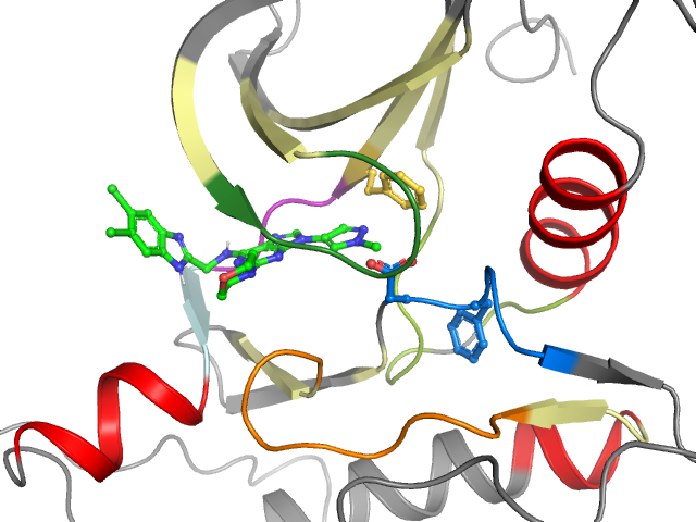 The orthosteric binding pocket