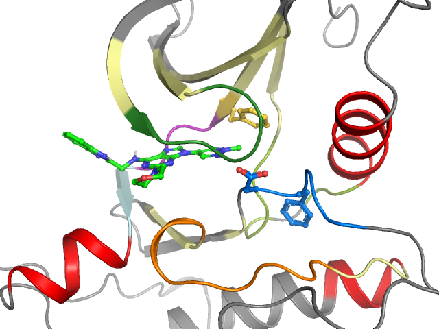 The orthosteric binding pocket