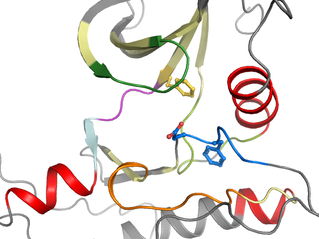 The orthosteric binding pocket