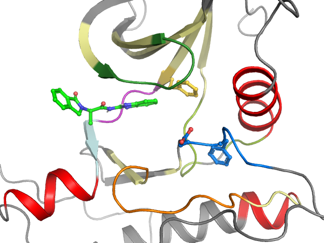The orthosteric binding pocket