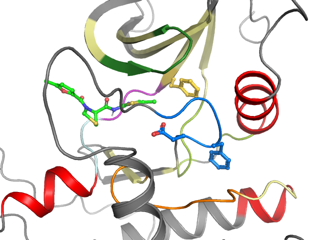 The orthosteric binding pocket