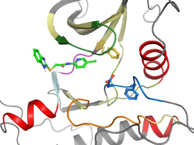 The orthosteric binding pocket