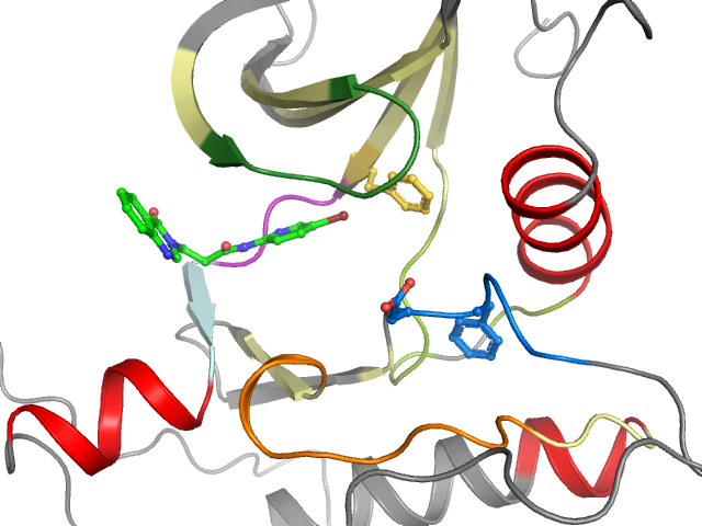 The orthosteric binding pocket