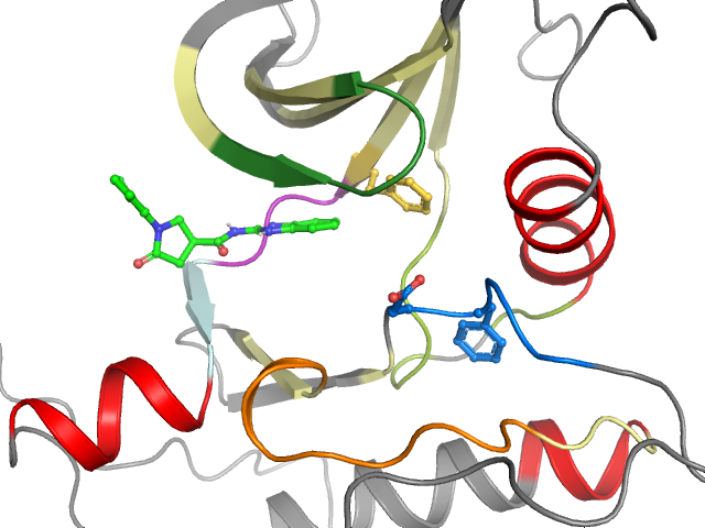 The orthosteric binding pocket