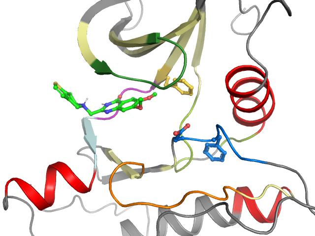 The orthosteric binding pocket