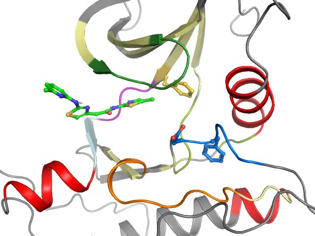 The orthosteric binding pocket