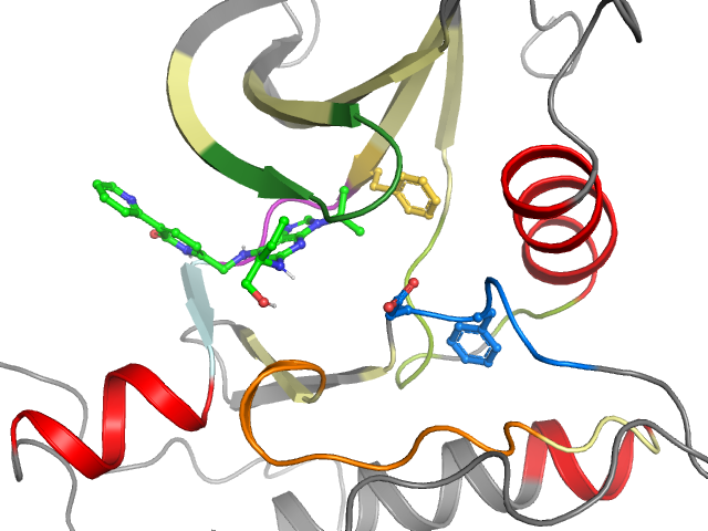 The orthosteric binding pocket