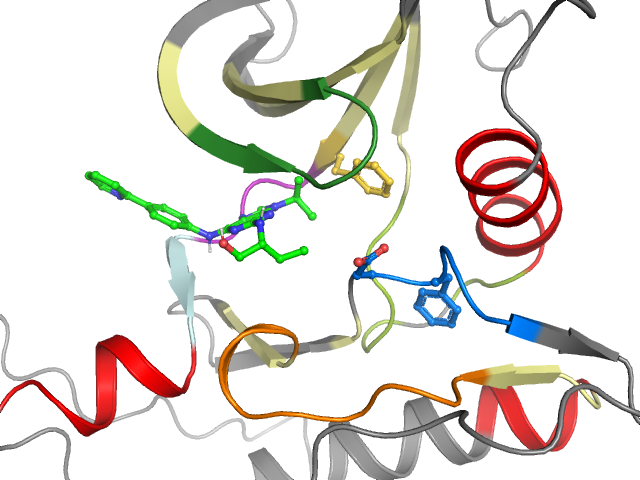 The orthosteric binding pocket