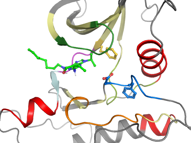 The orthosteric binding pocket
