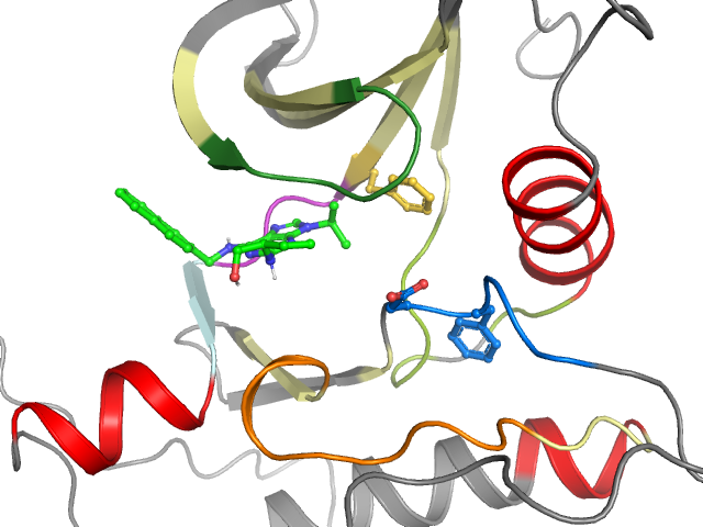 The orthosteric binding pocket