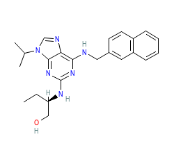 2D structure of the orthosteric ligand
